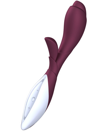 2730706-high.png Zini ZOOK Bordeaux / Blanco