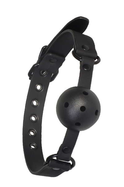 Dream Toys Blaze Ball Gag