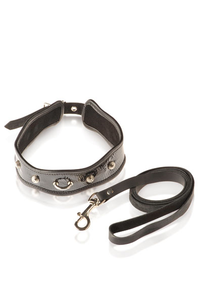 Leather Sm Collar Y Correa de Cuero